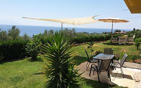 Panorama Olive Garden Apartment